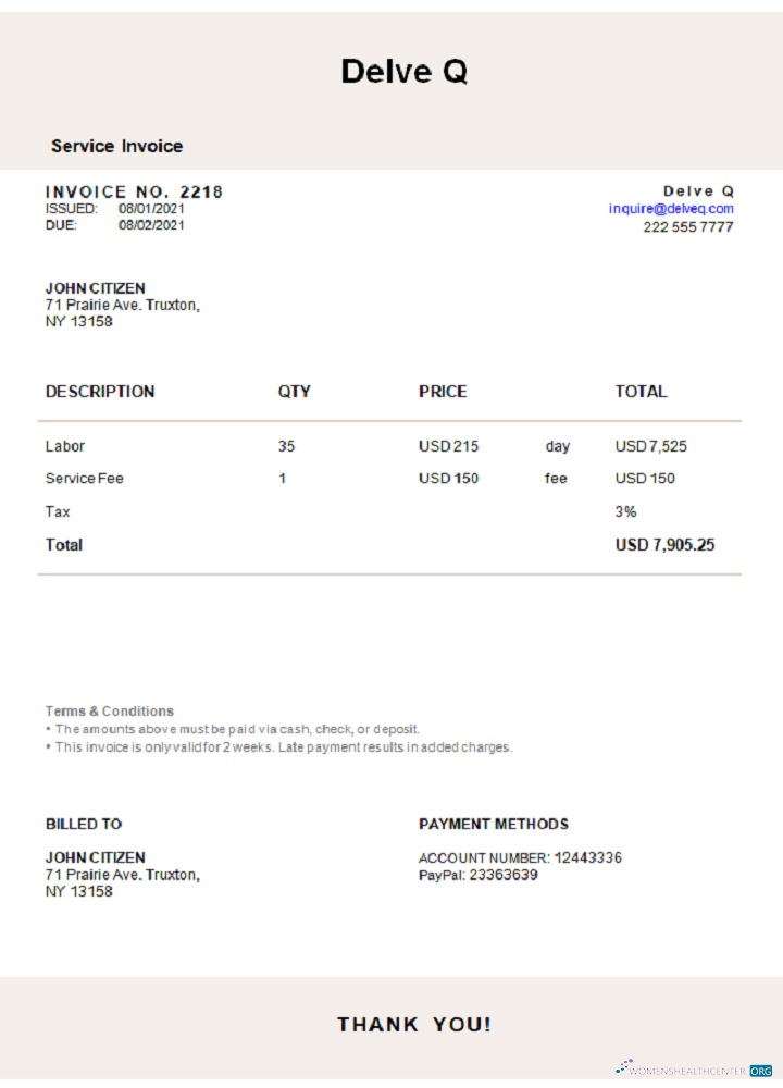 Download USA Delve Q invoice Photoshop template